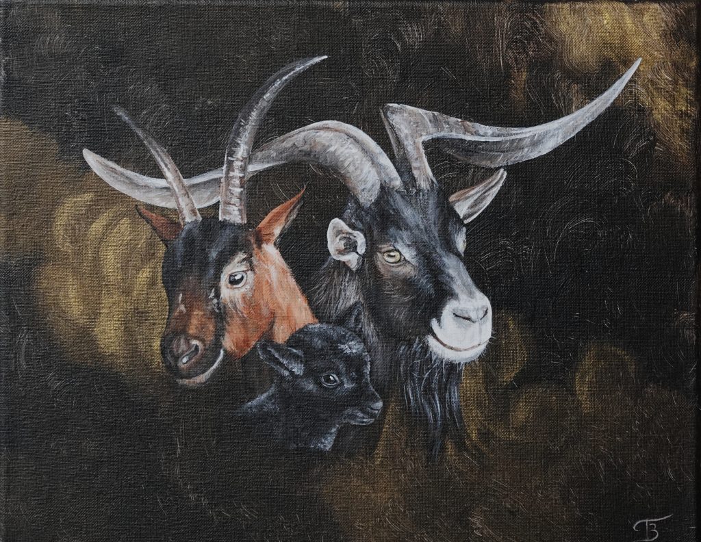 Portrait animalier Chèvres - acrylique