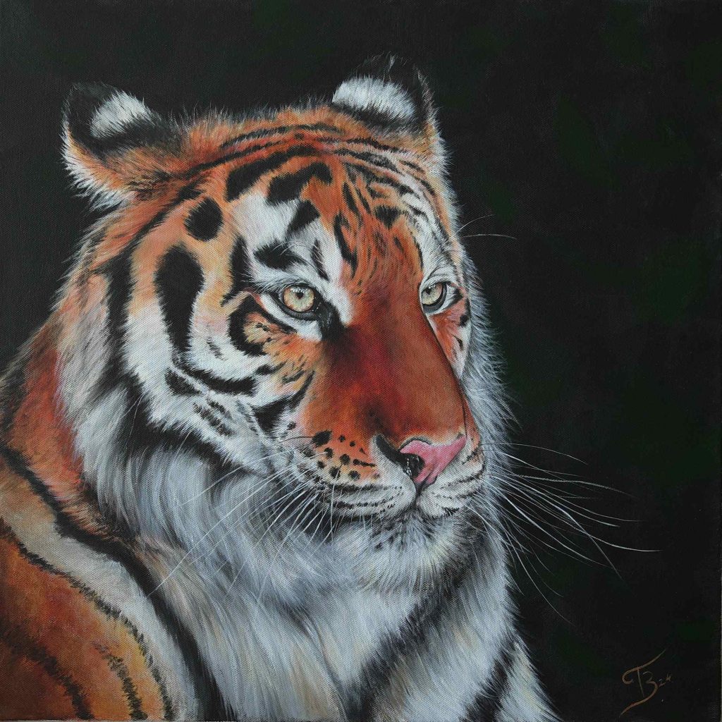 Tigre de Sibérie acrylique - 50x50 cm - 490 €