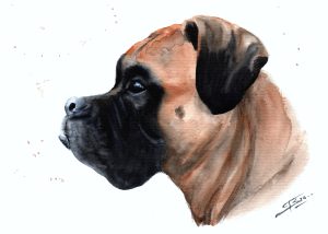 Dogue - A5 - 30 €