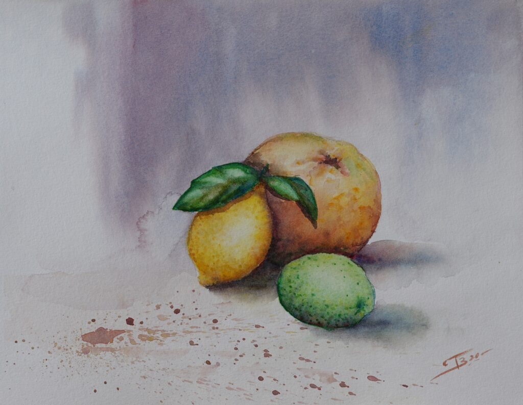 Agrumes - 24x30 cm