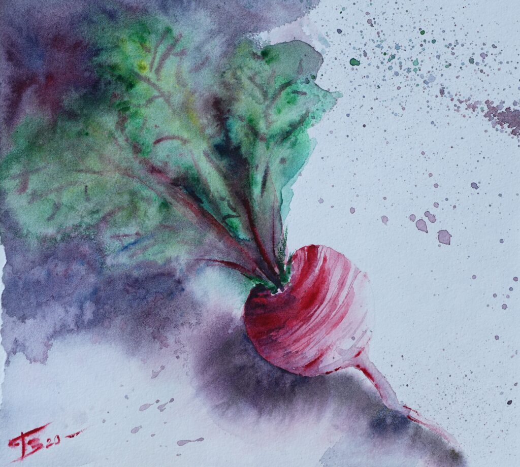 Petite betterave aquarelle - A6