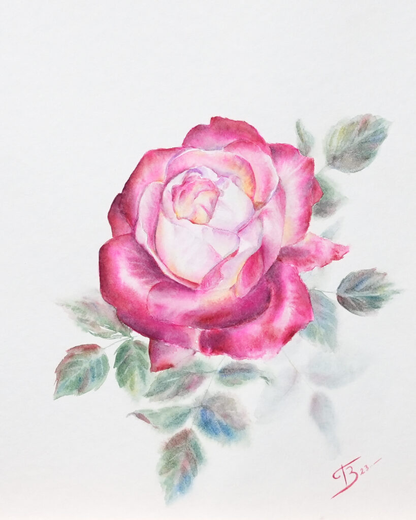 Rose pourpre aquarelle - A4 - 99 €
