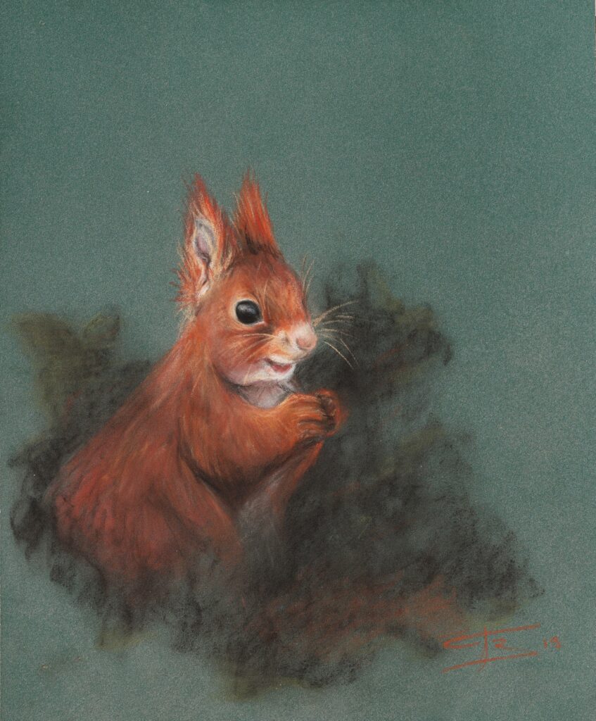 Écureuil pastel sec - 24x30 cm