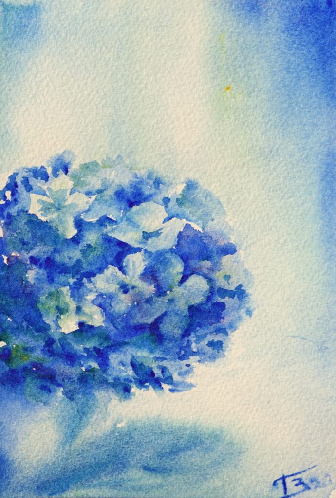 Hortensia aquarelle - 21x14.8 cm