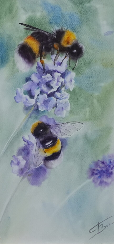 Les Bourdons aquarelle - 20x40 cm - 99€