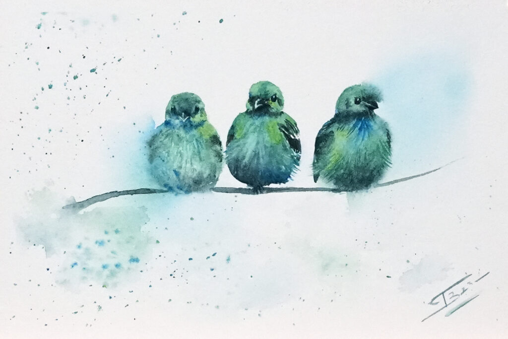 Les triplés aquarelle - 16x24 cm - 69€