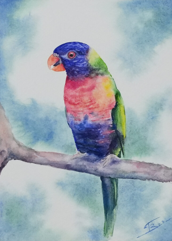 Loriquet aquarelle - 18x24 cm - 69€