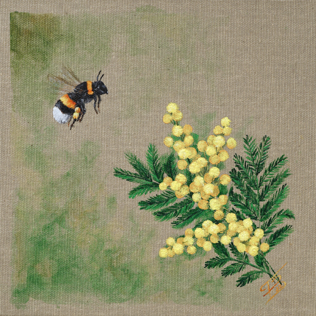 Bourdon acrylique - 20x20 cm - 50 €
