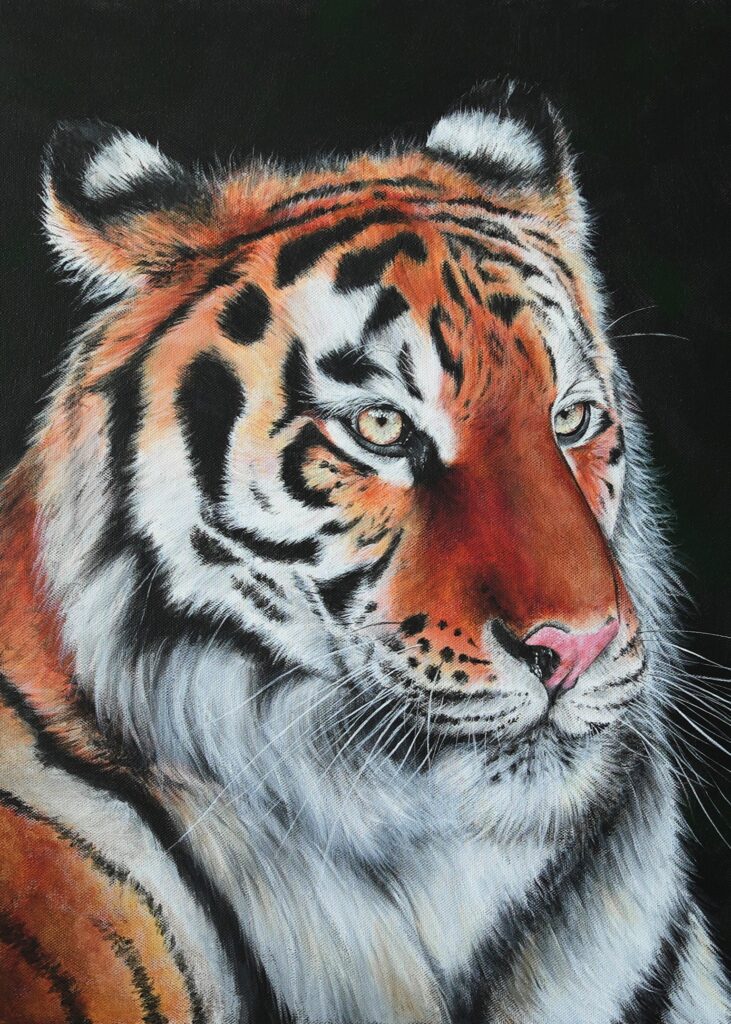 tableau tigre